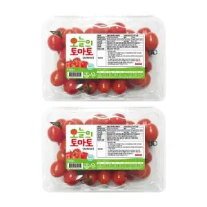 [오늘의 토마토] 고당도 스테비아 대추 방울토마토 1kg(500g x 2팩) / 2kg(500g x 4팩)