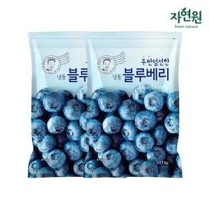 [자연원] 두번엄선한 냉동 블루베리 1.13kg x 2팩[35361598]