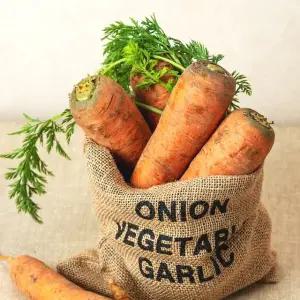 아삭달달한 제주 구좌당근 10kg 왕