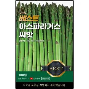 베스트 아스파라거스 씨앗 100립 건강에 좋고 초세가 강한 조생종 아스파라가스씨 종자