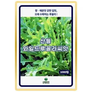 산들 와일드 루꼴라 씨앗 1000립 영양분 많고 부드러운 루꼴라씨 종자