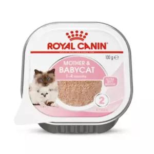 로얄캐닌 마더앤베이비캣캔 트레이 100g x 6개 습식사료 주식캔 아기고양이