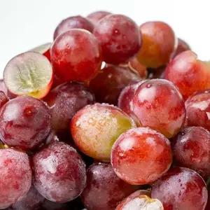 프레시 씨없는 고당도 수입 포도 잭살루트 (적포도) 1kg내외