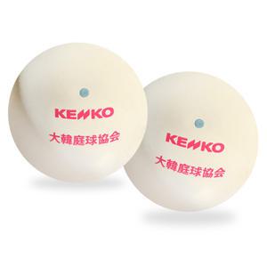 켄코 정구공 2개입 겐코 연식구 말랑말랑