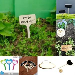 (10개) 우드 화분 식물 이름표/꽃/다육/원예/화초/허브/텃밭/작물/나무/표찰/팻말/푯말/원목/명찰/네임/픽
