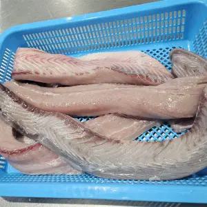 국내산 대삼치회 500g