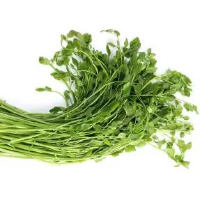 더맛상 국내산 돌미나리 제철나물 500g 1박스