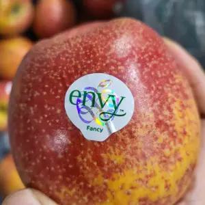 엔비사과(펜시) 가정용 중과 4kg 16-20과