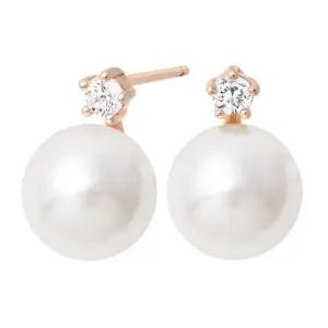 [미니아트] 14K 골드필드 핀 론드 진주 큐빅 결혼식 스터드 귀걸이