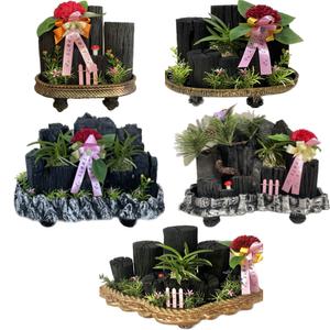 카네이션 숯화분 스승의날 어버이날 선물 (미리 발송)