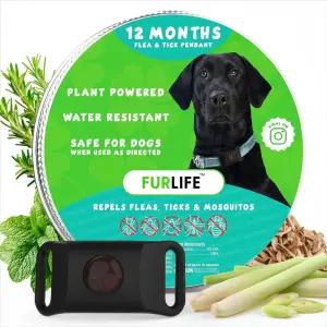 퍼라이프 블랙 도그 태그 벼룩 및 진드기 예방 - 목걸이용 방수 펜던트 모든 품종에 안전