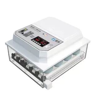 병아리 기 미니 거위 부화 계란 조류 키우기 온도 조절 유정란 가정용