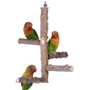 3-4개의 소형 앵무새를 위한 버드 퍼치 네이처 스탠드 (S) 우드