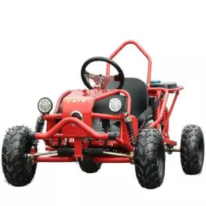 전기 버기카 성인용 오토바이 바이크 4륜 전동 산악