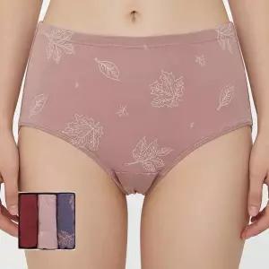 [제임스딘]제임스딘 여성 면스판 60수 맥시 삼각 팬티 3매입 세트 JHWPBZC1