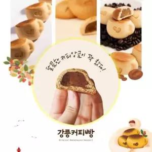 강릉 커피콩빵 강원도 특산물 커피빵 앙꼬 선물 6개입