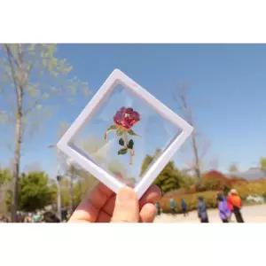 카네이션 브로치 뱃지 어버이날 스승의날 선물 부모님 결혼기념일 행사 의상 포인트 감사 기념품 악세사리