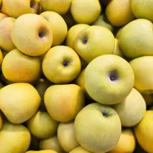 가정용 시나노골드 사과 쥬스용 8kg (박스포함중량) 과일 샐러드 주스 노란사과