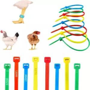 고품질 140Pcs 가금류 다리 밴드 닭 - 각인되고 다채로운 색상으로 오리 거위 식별에 이상적입니다