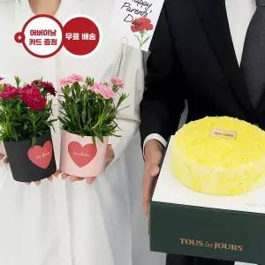 [유어버스데이](어버이날)카네이션 화분 세트(2pcs)+뚜레쥬르 고구마 케이크