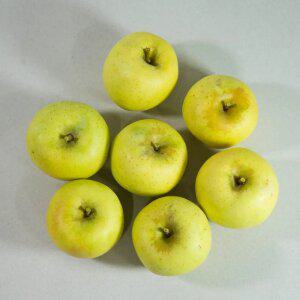 시나노골드 사과 2kg 9-10과/중과(가정용)실속형/2세트구입시4.5kg발송