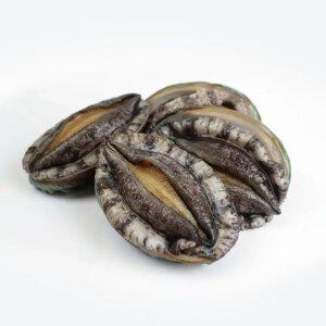 산지직송 완도 참 전복 1kg 7-8마리 / 산소포장