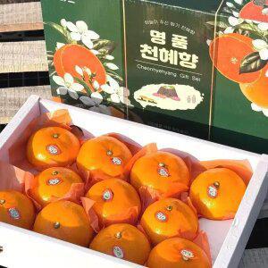 고당도 제주 천혜향 가정용 3KG 4.5KG