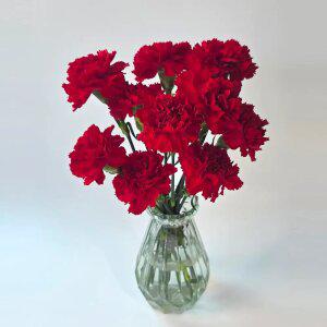 생화 카네이션 10송이+고급화병+용돈봉투 카네이션화분 어버이날 스승의날 선물