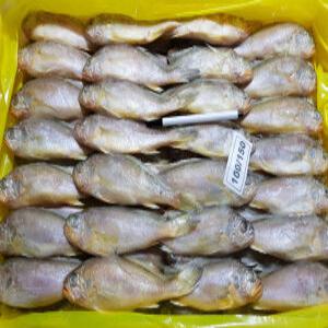 한바다몰 참조기 3.5kg 1박스(52미내외)   구이 조기매운탕