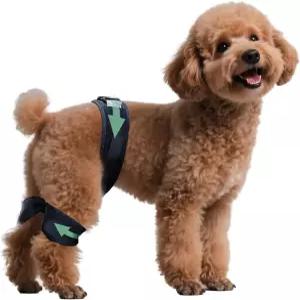 HAPPYHAO 고관절 이형성증을 위한 조절 가능한 개 다리 보호대 예방 및 개선을 호흡 지지력 있는 엉덩이 S