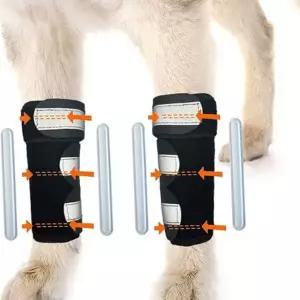 강아지 보조기 슬개골 무릎 반려견 강아지 앞다리 보호대 관절