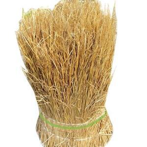 볏짚/청국장 메주용/월동자재/초화류,수목 보온/펫보온 지푸라기/공예 학습용