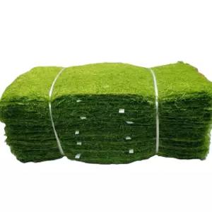 국내 청정 갯벌 재래식 햇 생감태 100장