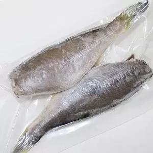 참조기 두절조기 12마리