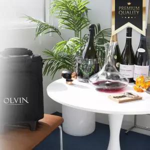 와인 더블 캐리어 가방 2병용 보온 보냉 휴대용 와인케이스 캠핑 여행 선물용