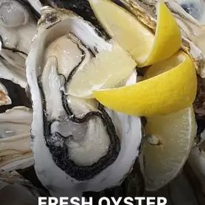 산지직송생굴 남해안 청정지역 깔끔한처리 생굴 정리정돈 깔끔수납 효율적사용