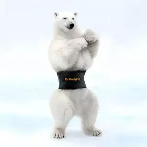 닥터바디핏 허리 압박 보호대 복대 밴드 헬스 일상