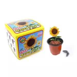 식물기르기 식물키우기 학습 어린이실험완구 자연완구 12개