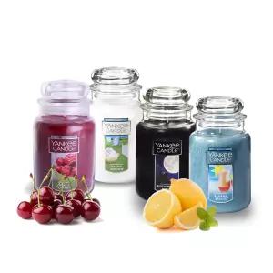 양키캔들 라지자 623g 17종 베스트향 모음(선물포장가능)