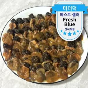 경남 진동 활 미더덕 생물 참미더덕 당일조업 횟감