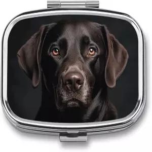 블랙 랩 개 여행용 알약 정리함 휴대 및 보관에 편리한 보충제용 일일 상자 2칸 케이스