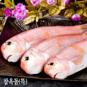옥돔(특) 3kg제주도참 구매 택배 제주참 맛있는 구이 건옥 국산 선물 성산포 생선 말린 반건조