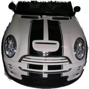 10인치 미니 매그 랠리 스트라이프 그래픽 세트 1년 내내 착용 가능 및 모델 쿠퍼 밝은 파란색