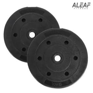 아리프 플렉스 원판 10kg set 2개입 덤벨 홈짐 홈트