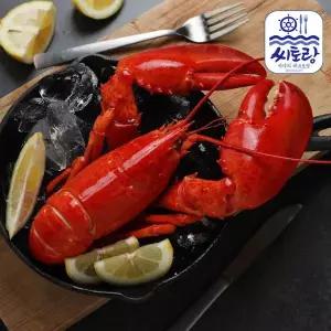 [롯데백화점]푸드진정성 캐나다 자숙랍스터 특 4미/미당 450-500g/냉동