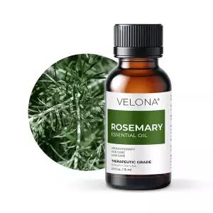 베로나 로즈마리 에센셜 오일 15ml  USDA  유기농 100% 천연 원액 아로마 테라피 등급 추천