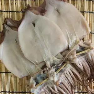 피데기 안주 오징어 간식 반건조오징어 반건조 500g 피데기