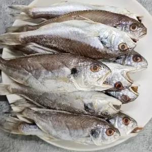 싱싱햇 국산 반건조백조기 조기 반건조 백조기 1kg 2kg