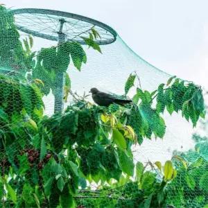 농업용 참새 그물망 소형 2x5m 새그물 방조망 새쫓기 보호망 조류퇴치 비닐하우스