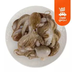 냉동 쭈꾸미 2.16kg 업소용 대용량 볶음용 벌크